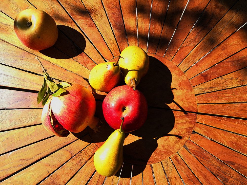 Photograph by Леонид