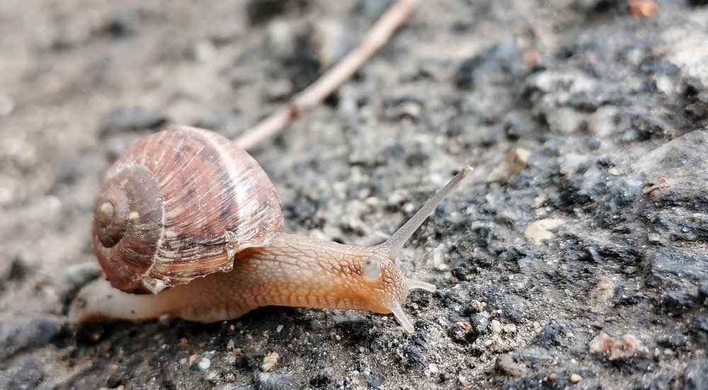 Photograph by Ксения Супрун