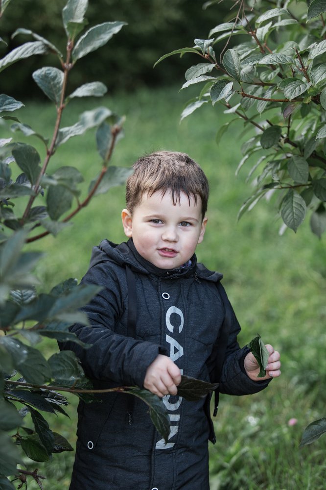 Photograph by Надежда Войнова