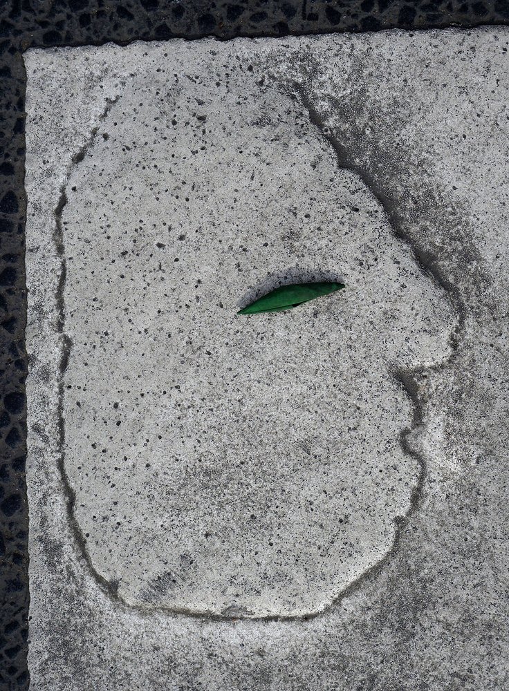 Photograph by ПОЛУЕВ ИЛЬЯ