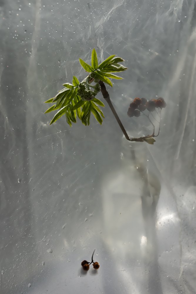 Весна встречается с зимой