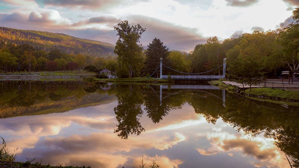 Мост влюбленныхв городском парке