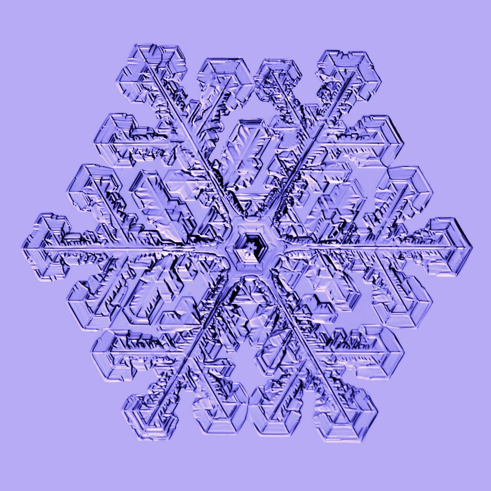 Photograph by Тимофей Черепанов