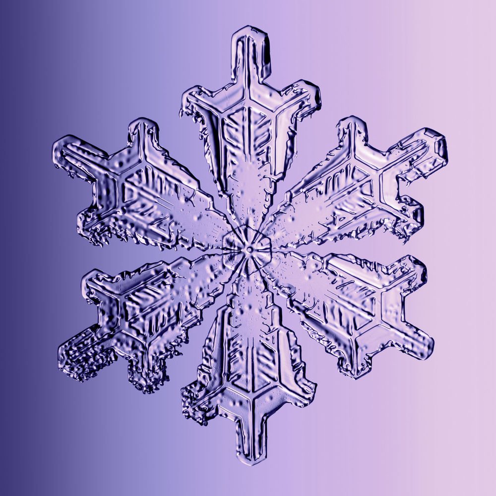 Photograph by Тимофей Черепанов