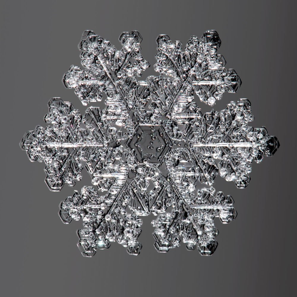 Photograph by Тимофей Черепанов