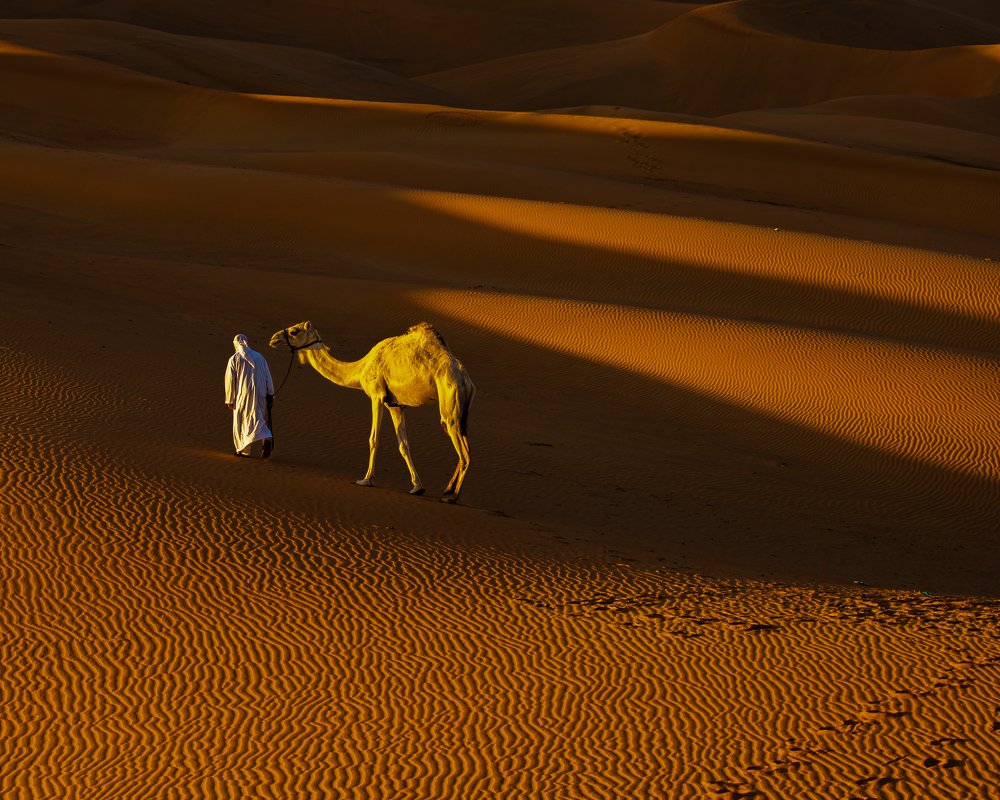 Photograph by MOHAMED NASSER