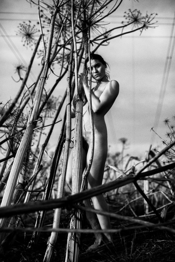 Photograph by Наталия Жмерик