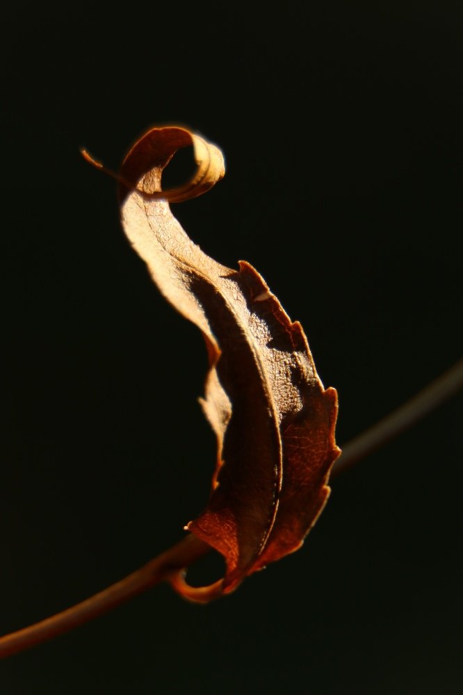 Photograph by Александр Шаварёв