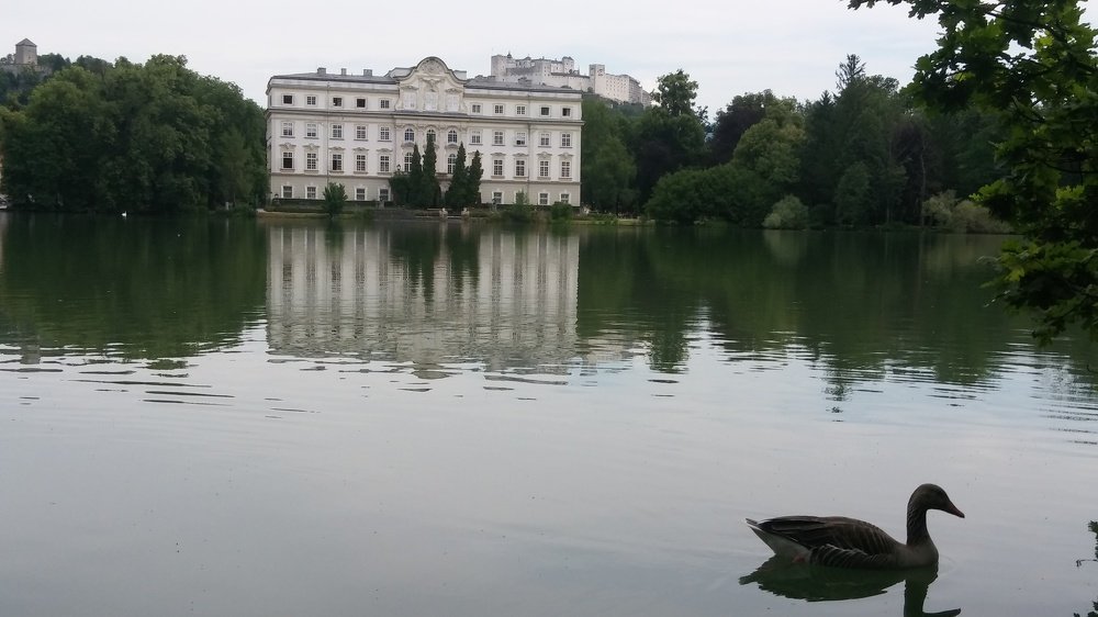 Photograph by SVITLANA