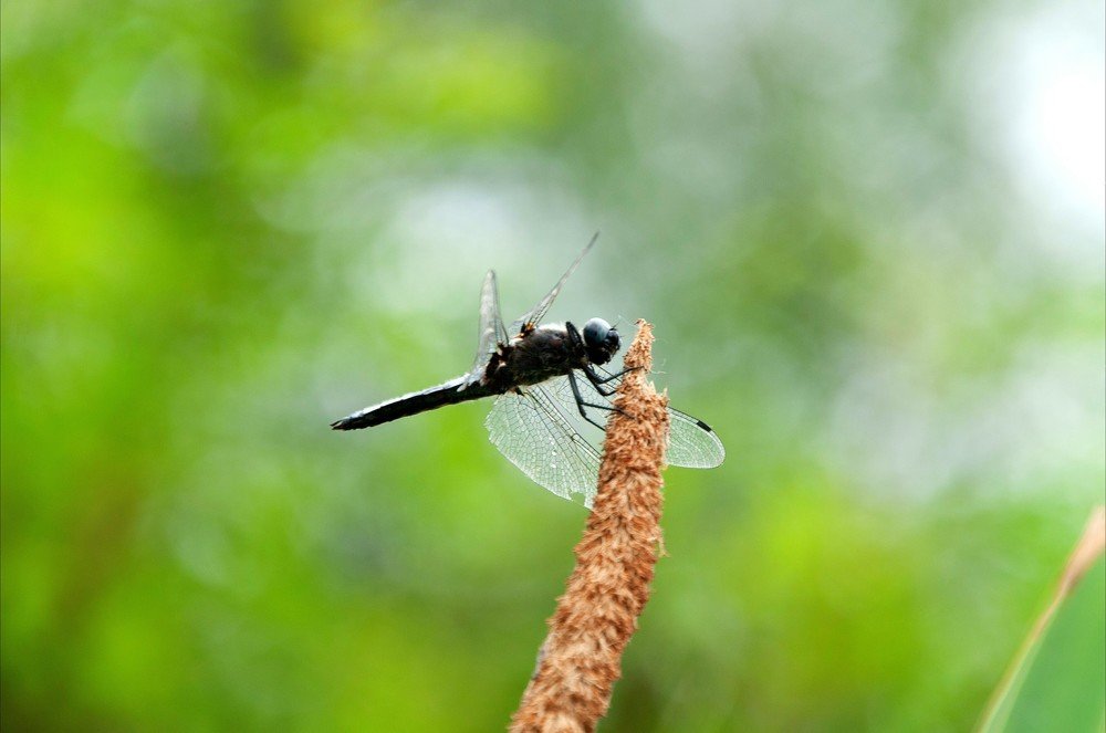 Photograph by Ольга Куницкая