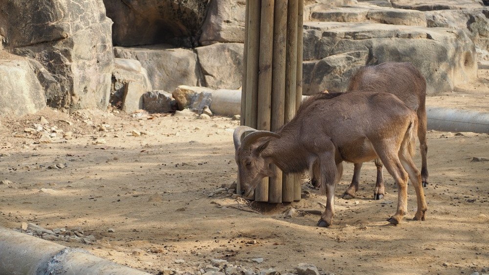 Photograph by Marianie Joanes