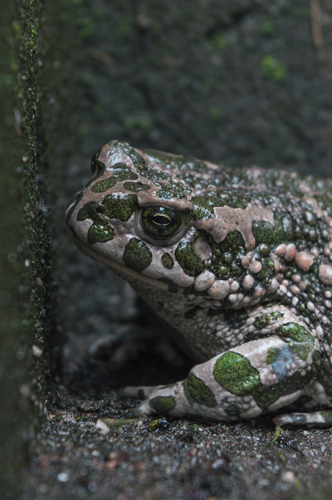 Photograph by Artem Mironov