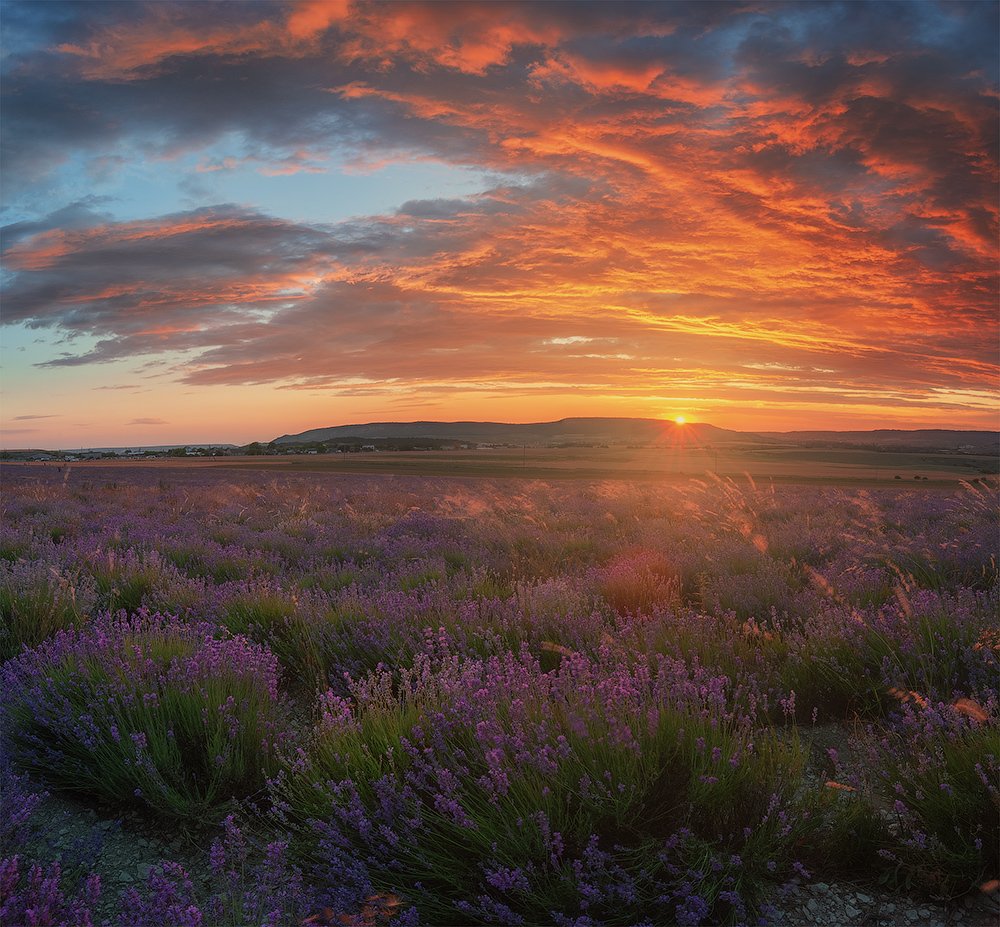 Photograph by Наташа Фирсова