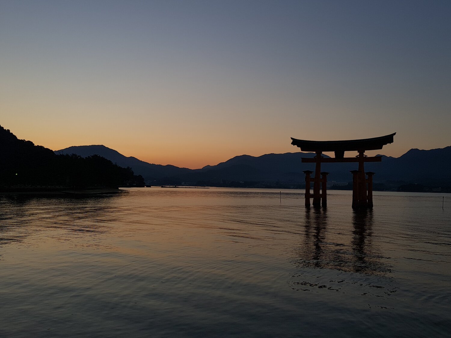 Photo #4388420