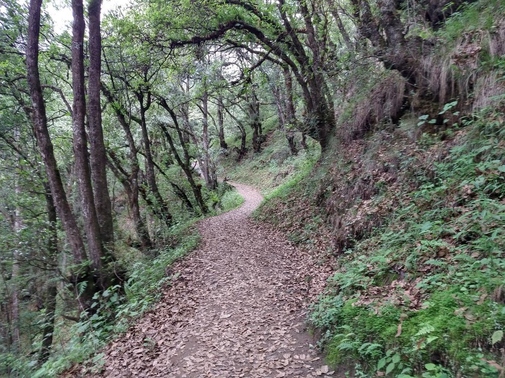 Photo #4388423
