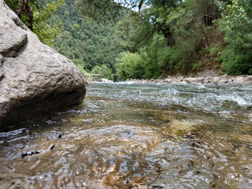 Photo #4388469