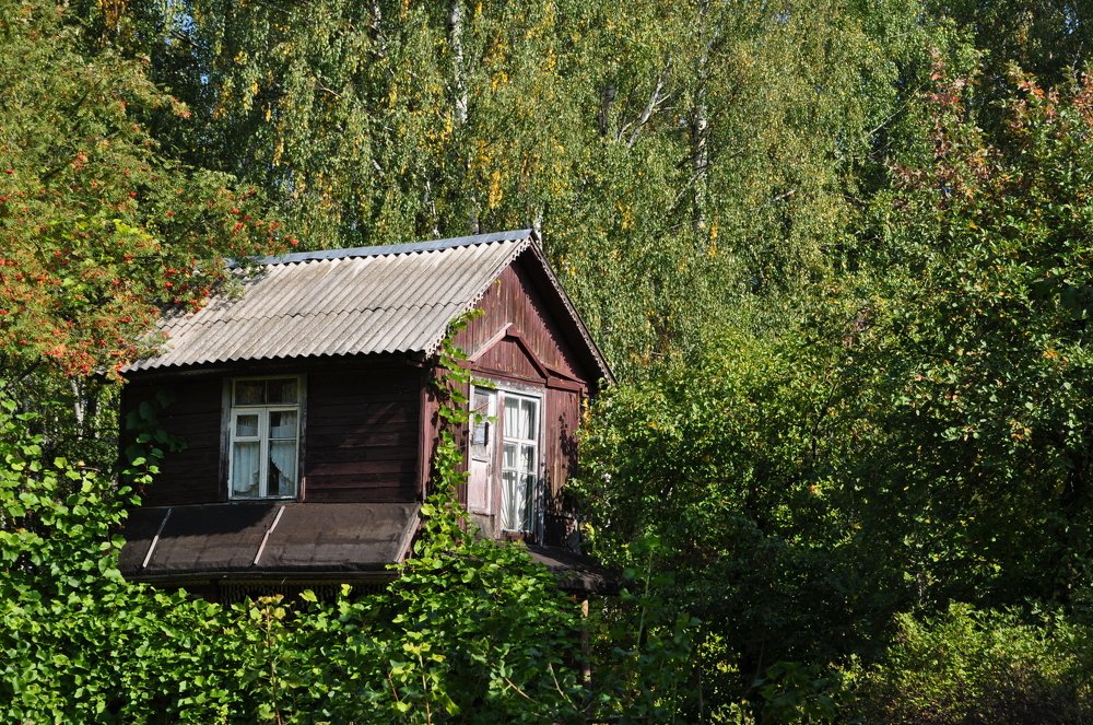 Photograph by Анастасия Обидина