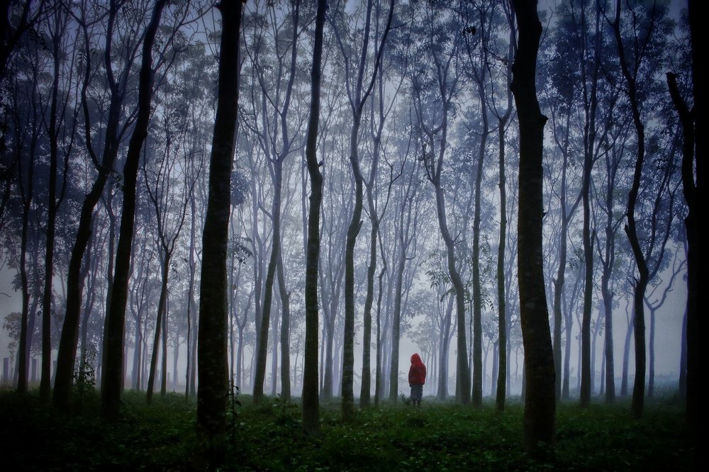 Photograph by Md Nayon Hossain