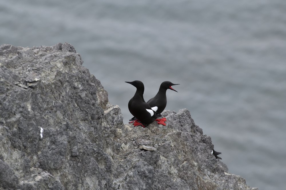 Photograph by Алекс Ежов