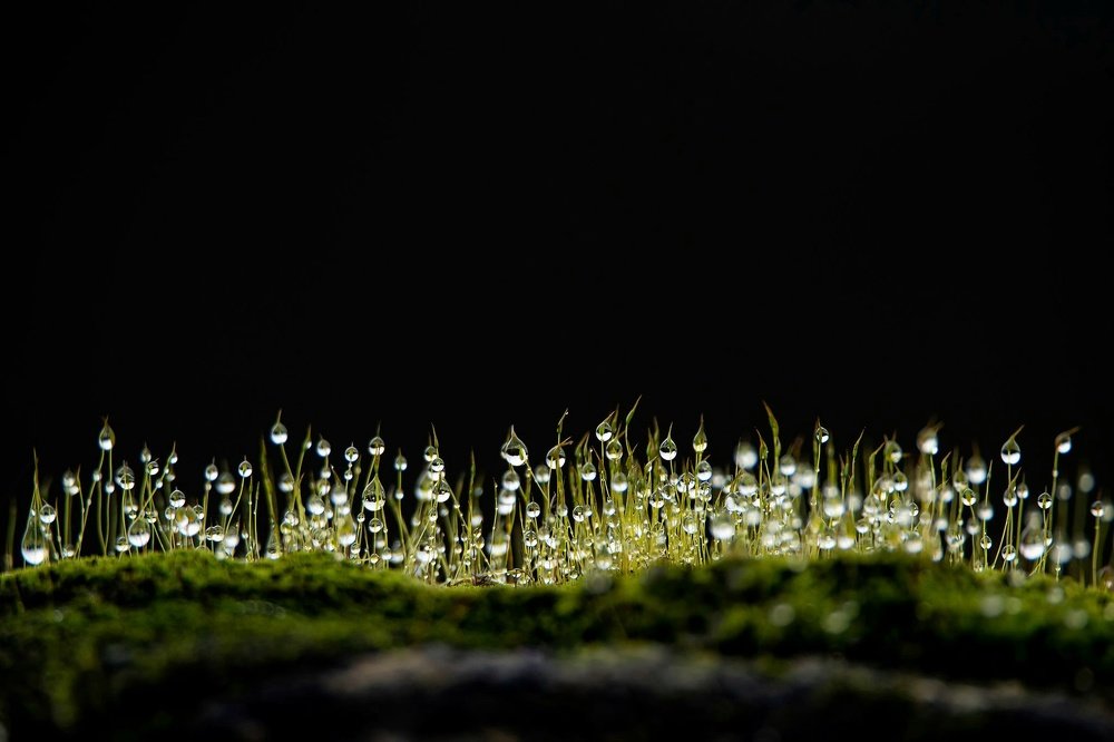 Photograph by Noa Táboas