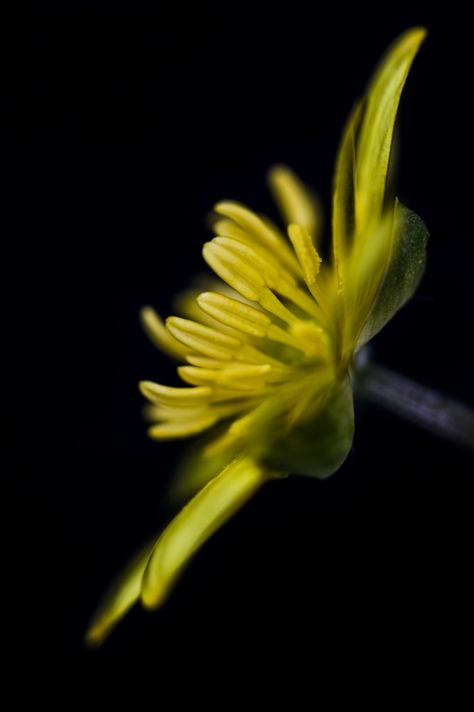 Photograph by Яна Ленчевская