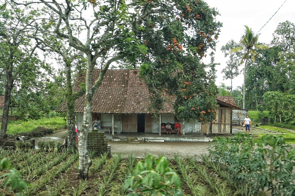rumah joglo