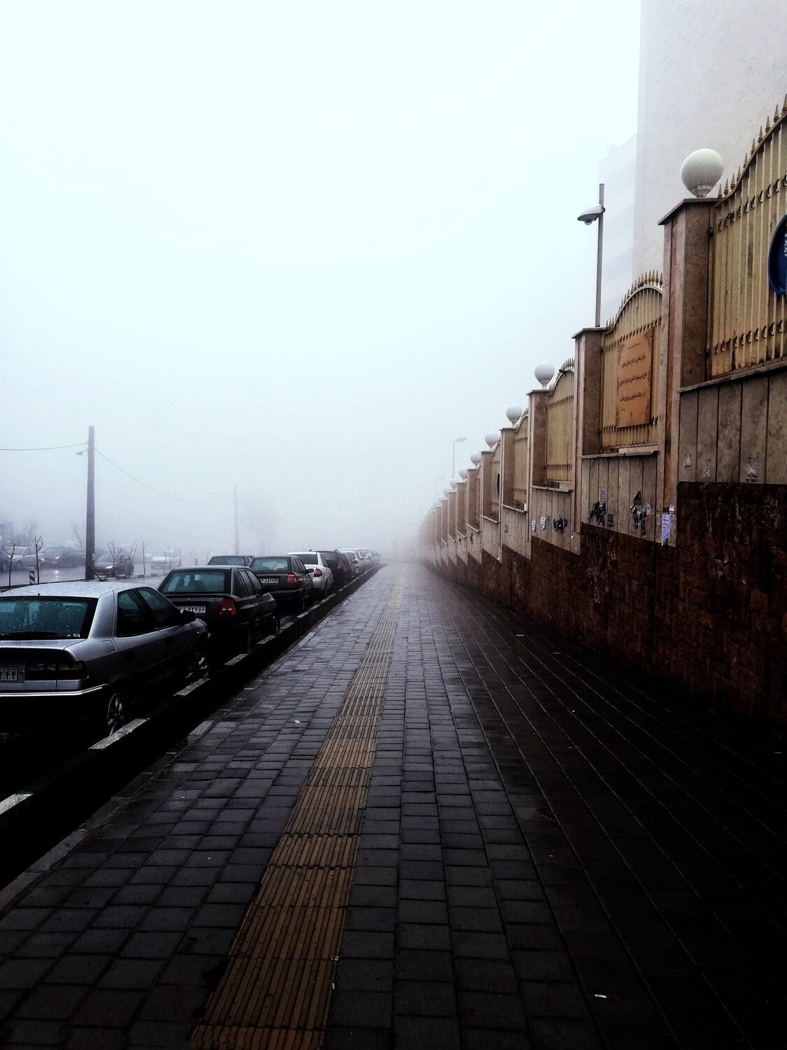 Photo #4388590