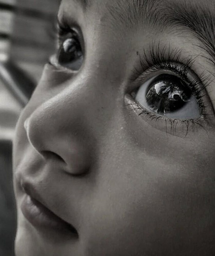 Photograph by Mohammed nizwan k Niz