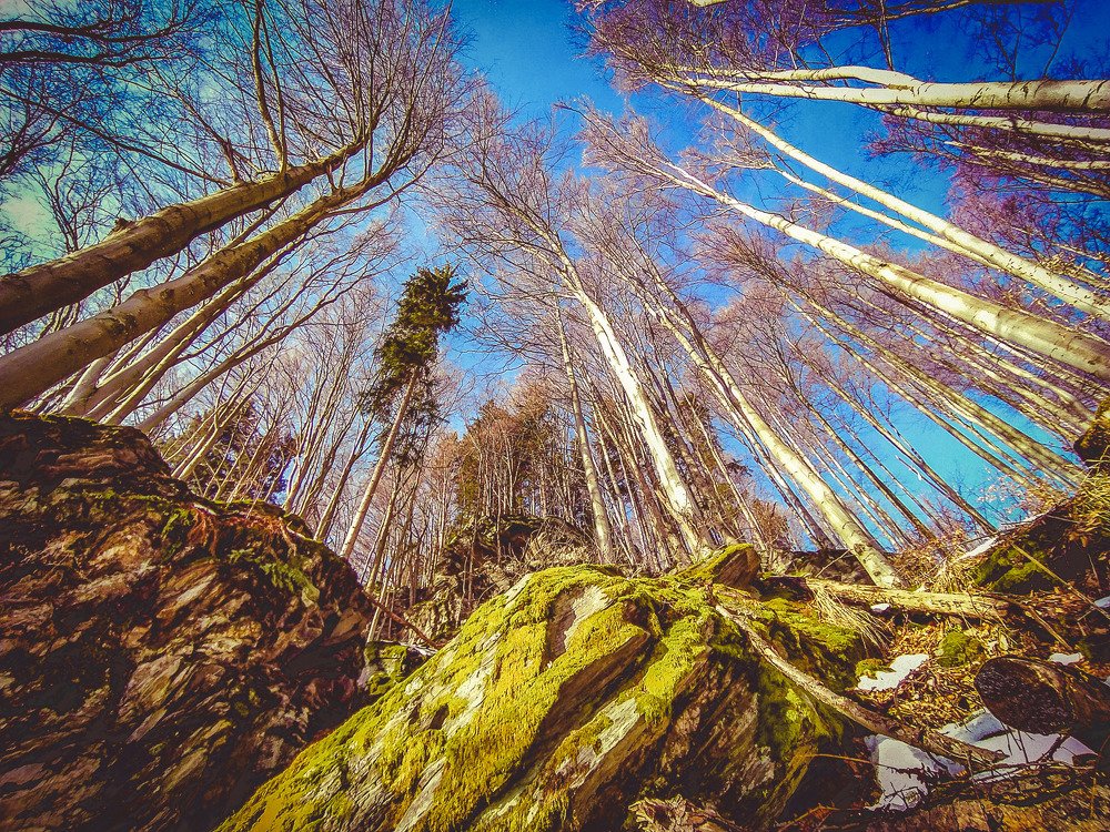 Photograph by Petr Kočica