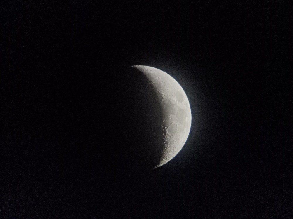 Photo #4388613