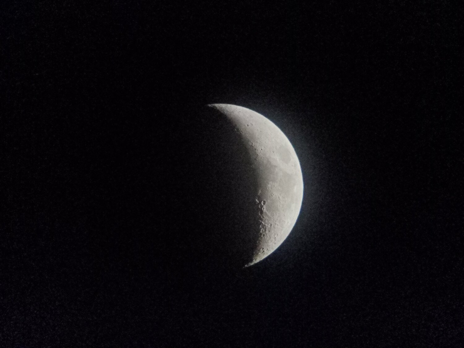 Photo #4388613