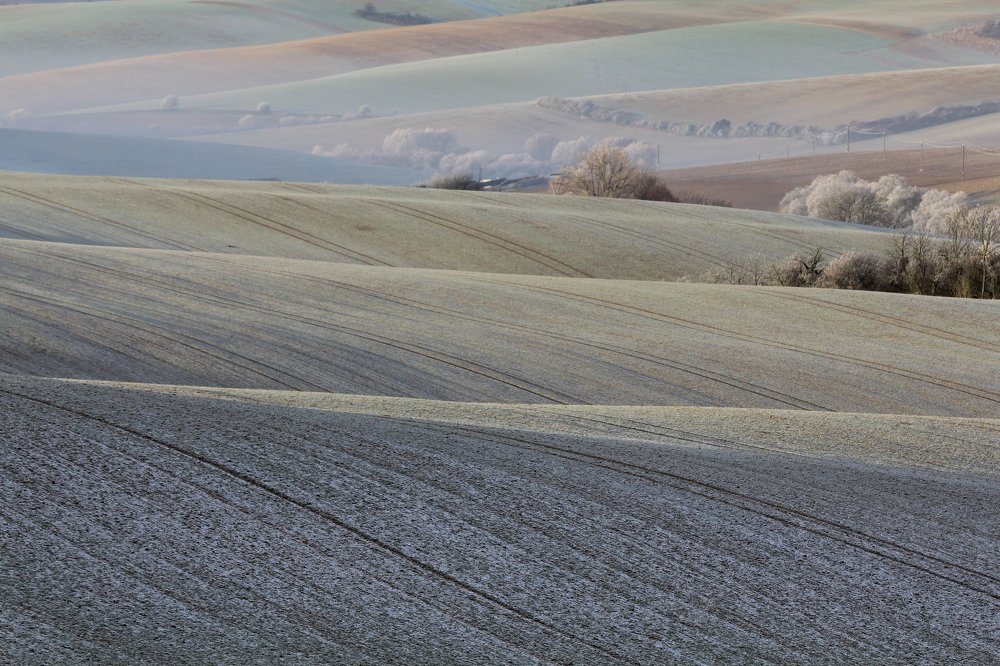 Photograph by Елена Боганова