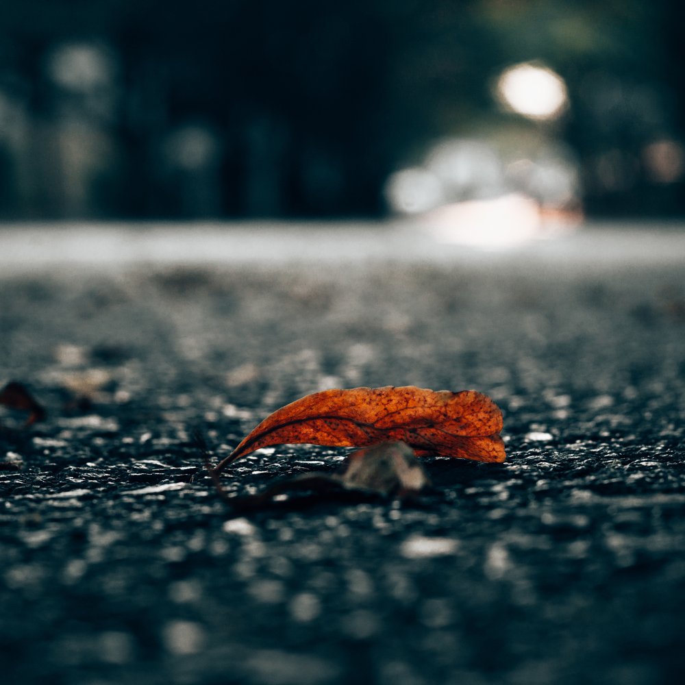 Photograph by Vladimir Borozenets