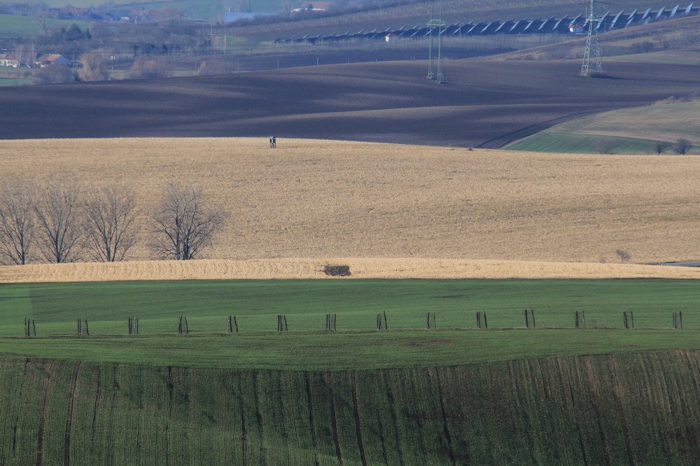 Photograph by Елена Боганова