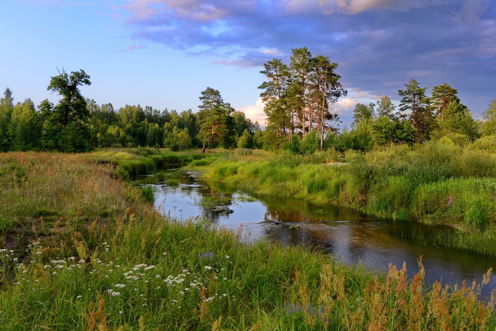 Photograph by Валерий Толмачев