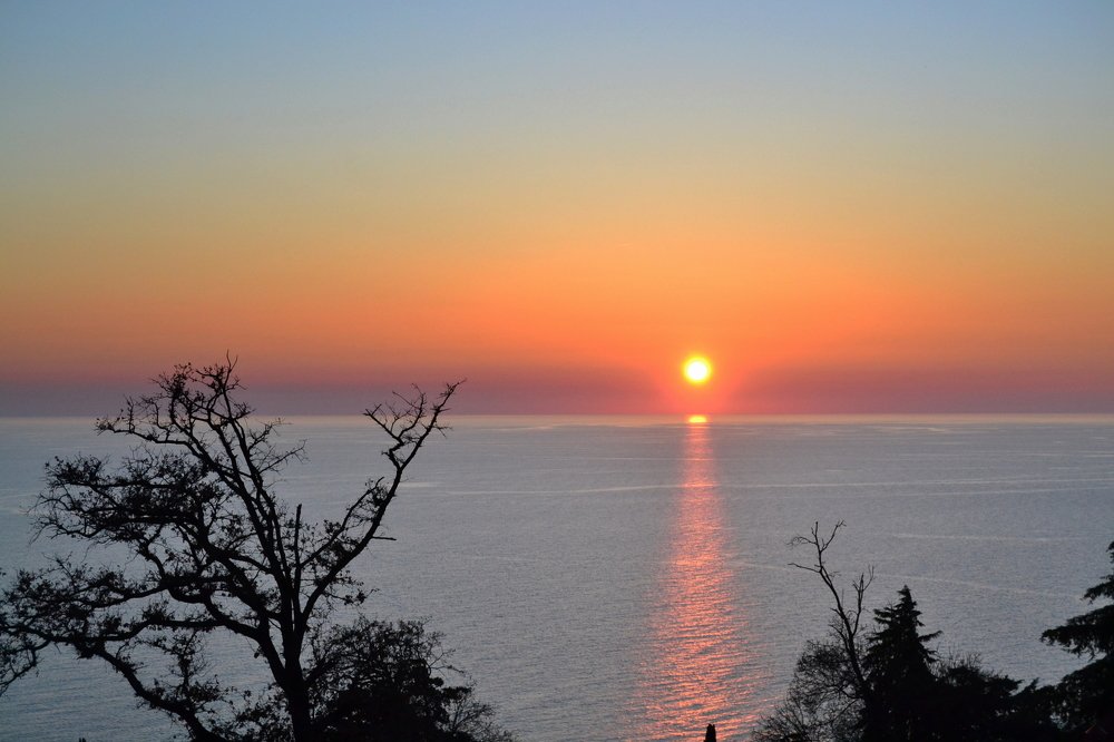 Photograph by Александр Поляков