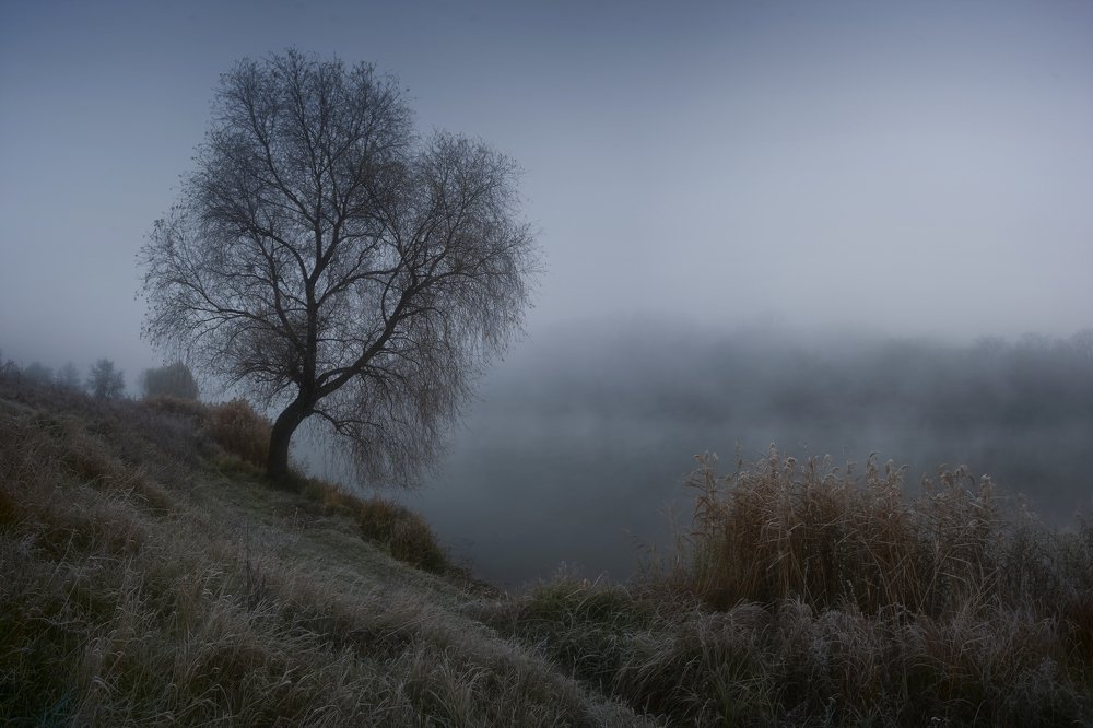 Photograph by Игорь