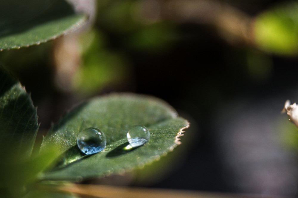 Photograph by Владислав Котлованов