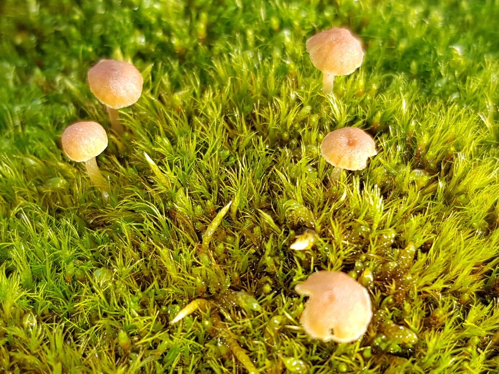 Photograph by Алекс Ежов