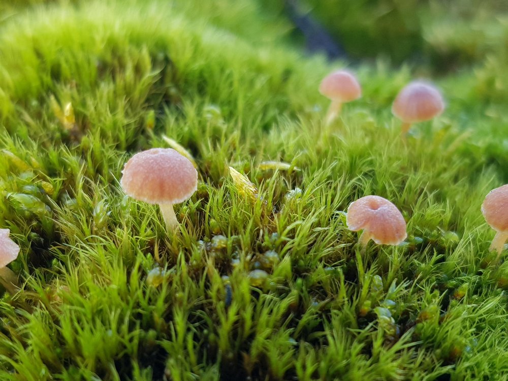 Photograph by Алекс Ежов