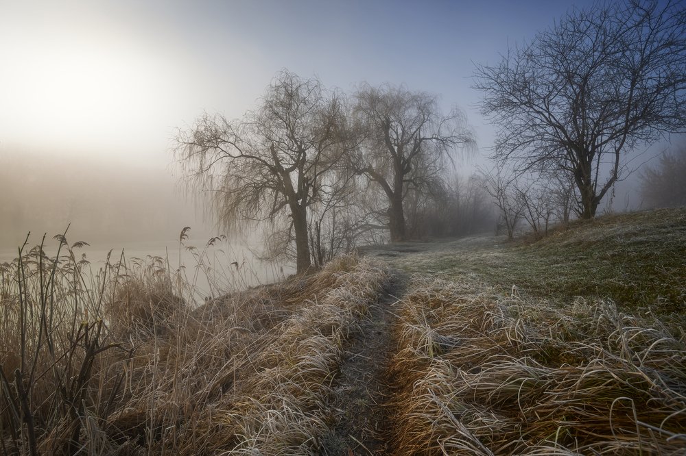 Photograph by Игорь