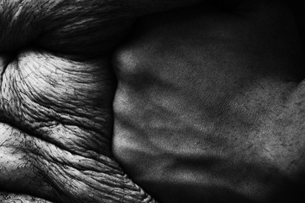 Photograph by Alireza khazaei