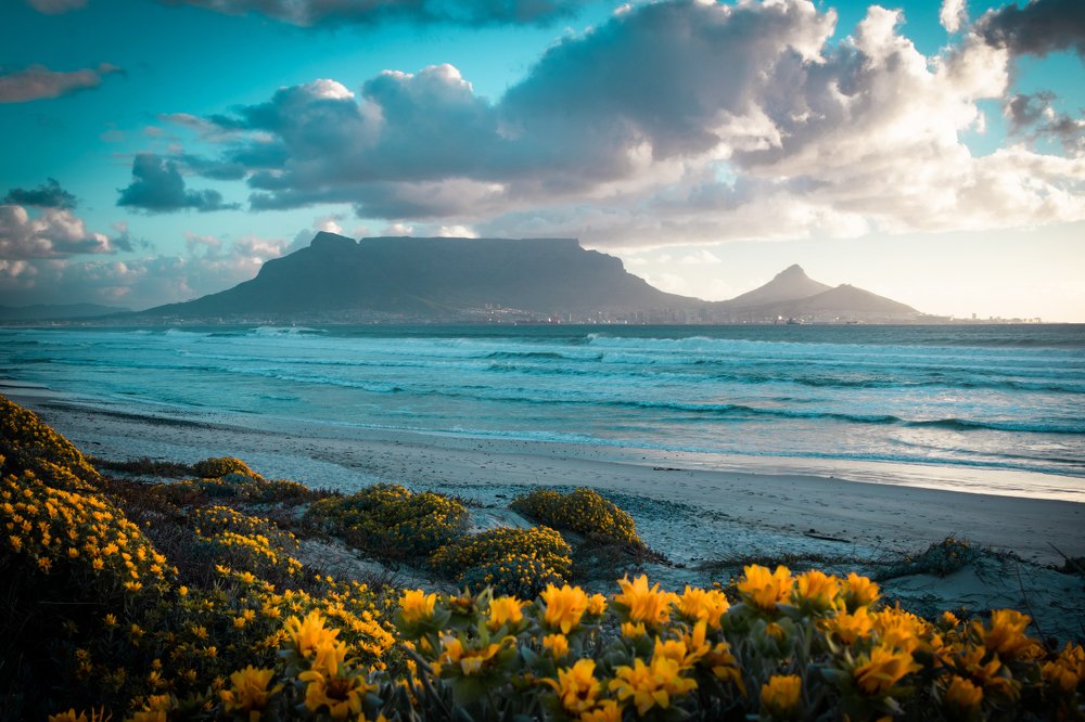 Table Mountain Cape Town