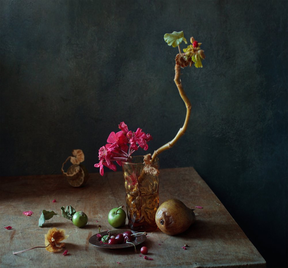 Photograph by marianna marina