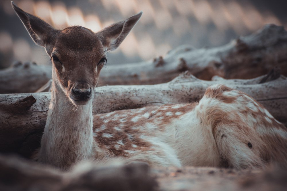 Photograph by Андрей Ероха