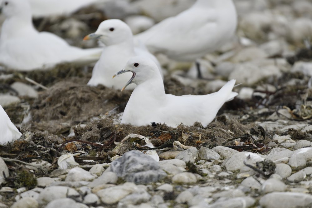 Photograph by Алекс Ежов