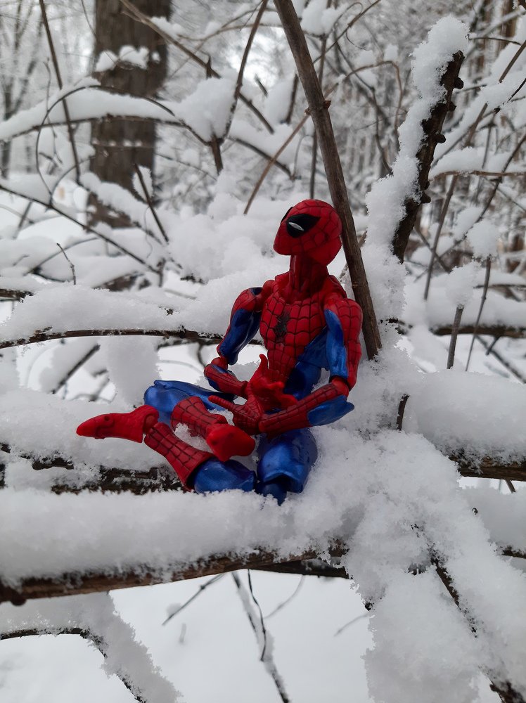 Photograph by Анастасия Зенкина