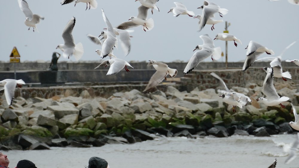 Photograph by Mariusz Smolinski