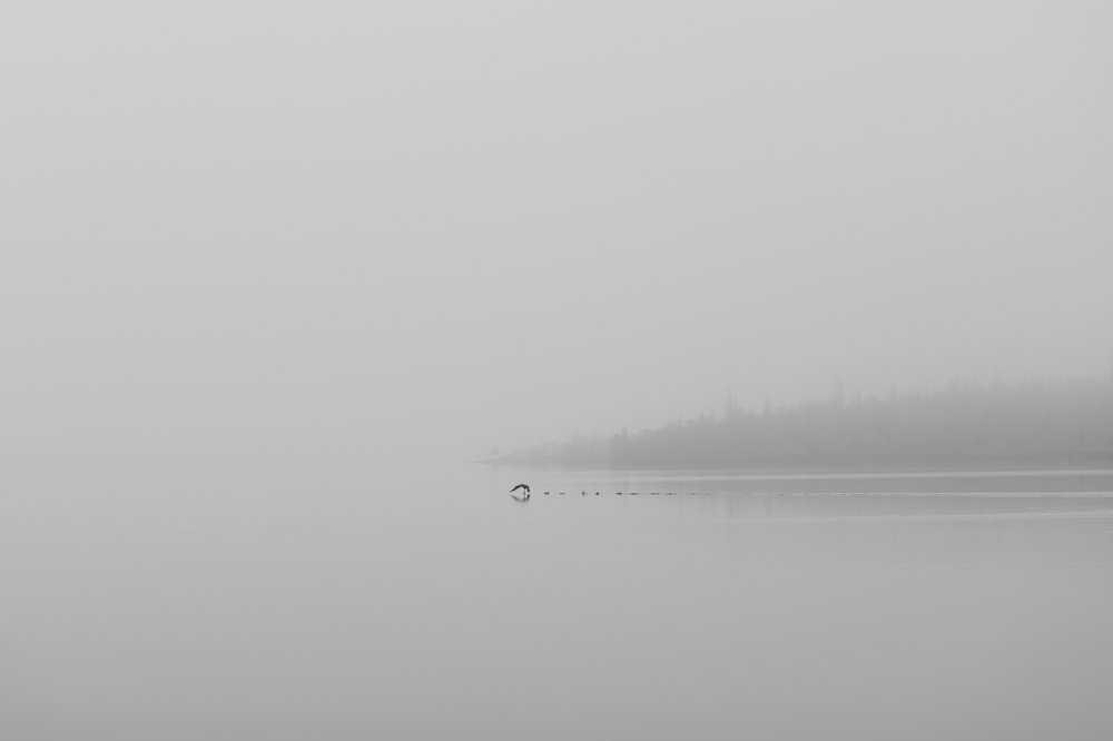 Photograph by Кирилл Хазанов