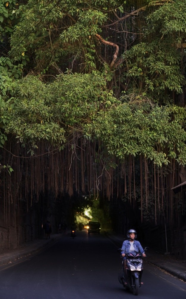 Photograph by Кирилл Хазанов